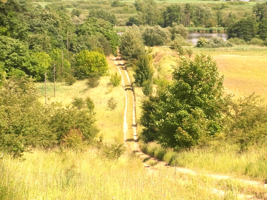 Zjazd w okolicy Pargowa