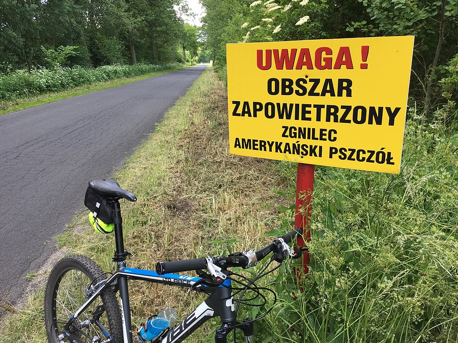 Okolice Biernatowa
