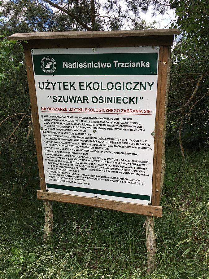 Użytek Ekologiczny "Szuwar Osiniecki" - w drodze do Białej