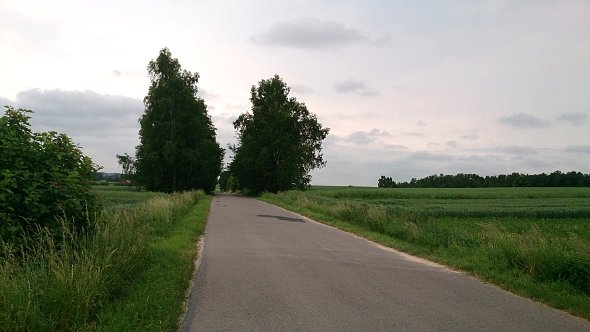 Droga na Bychawkę