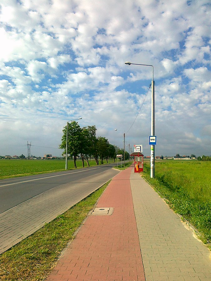 Pogodny poranek