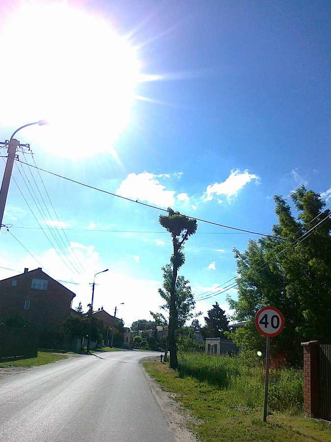 Siła przyrody
