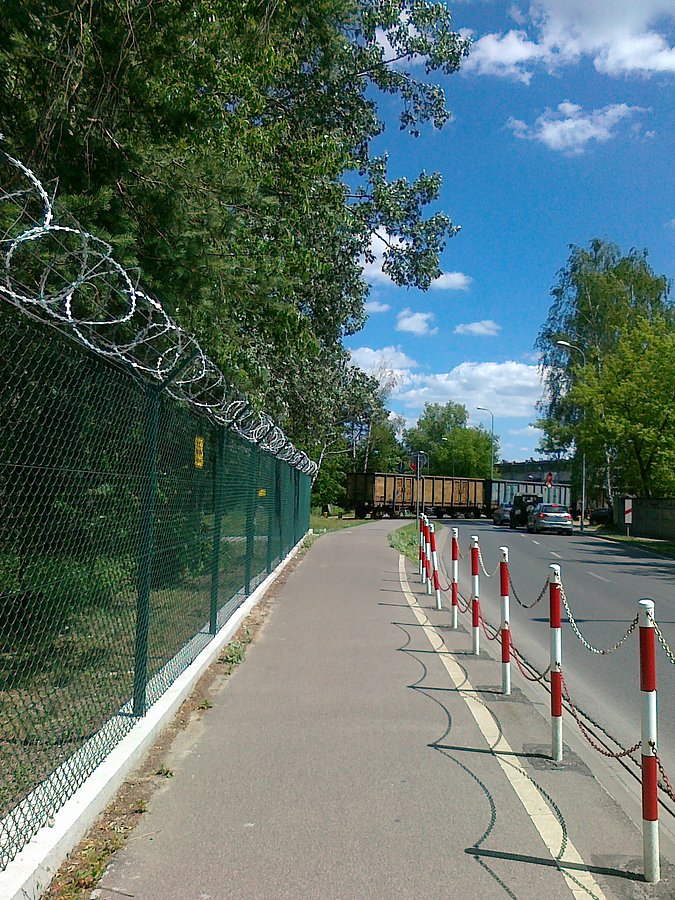 Pociąg na przejeździe przez Kocjana