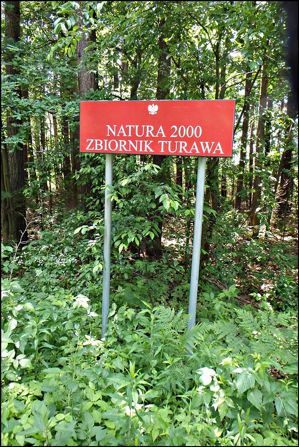 Natura 2000 Jezioro Turawskie
