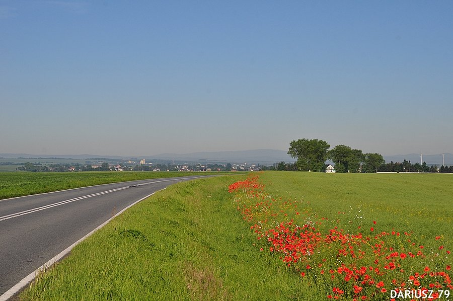 Pietrowice Wielkie - Okolice