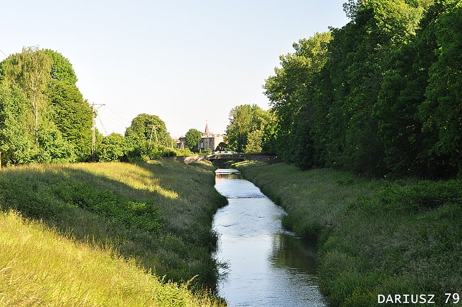 Prudnik - Rzeka Prudnik