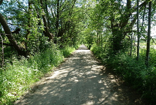 Droga
