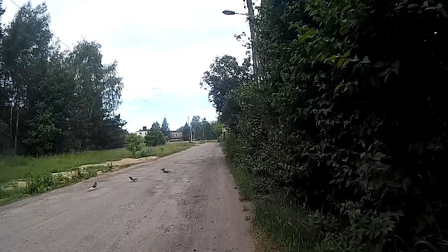 Niebo nieszczególne