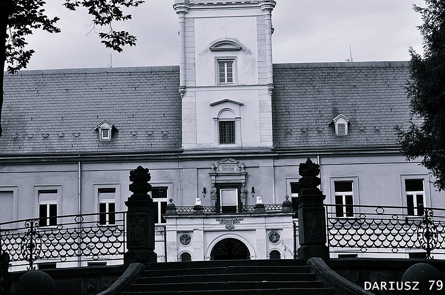 Zamek w Tułowicach