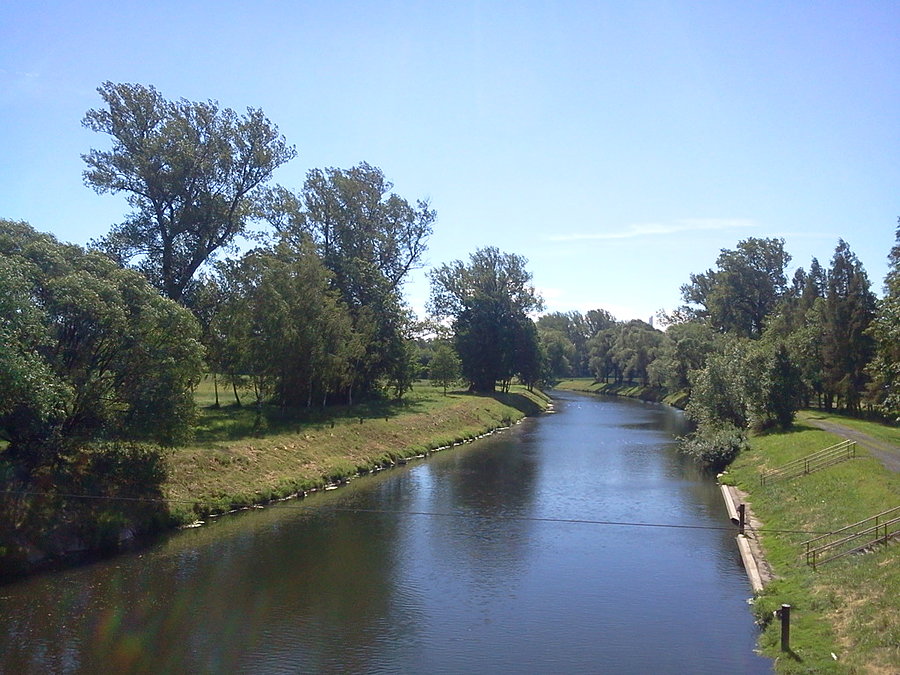 Olza w Wierzniowicach