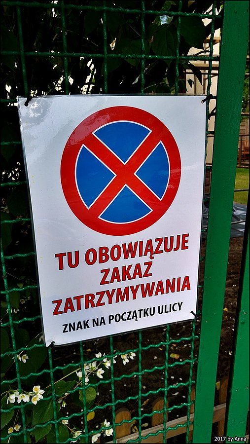 Bo "kierowcy" nie czytają znaków :(
