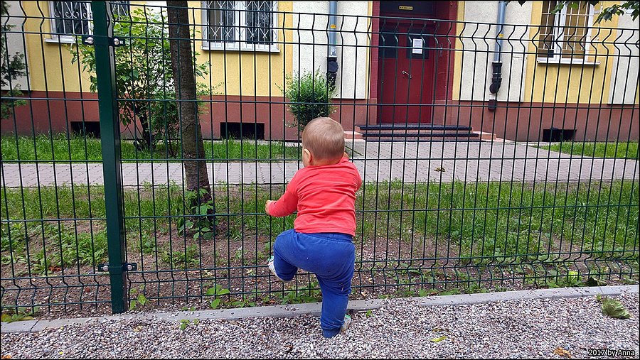A przez płot może też dam radę?