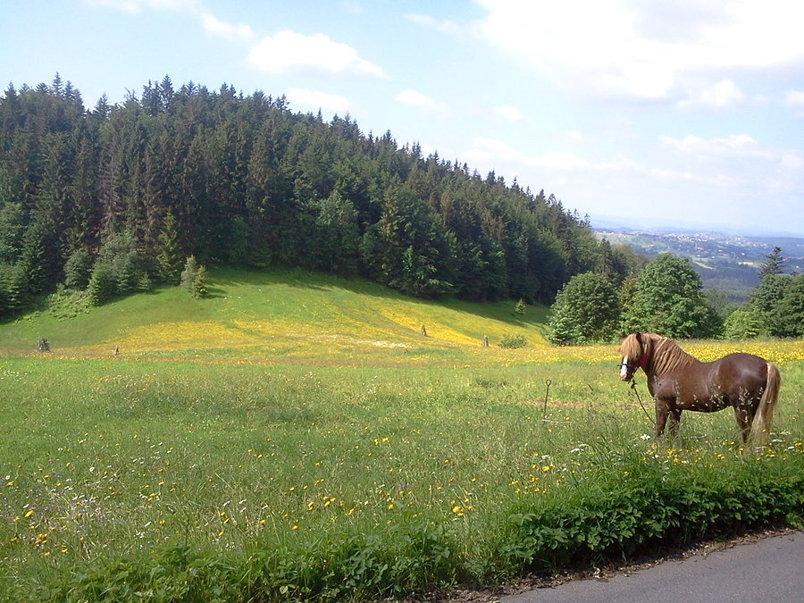 Filipionka