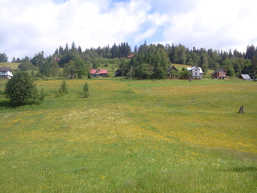 Pietraszonka