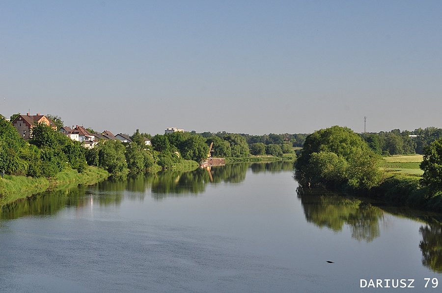 Krapkowice - Rzeka Odra