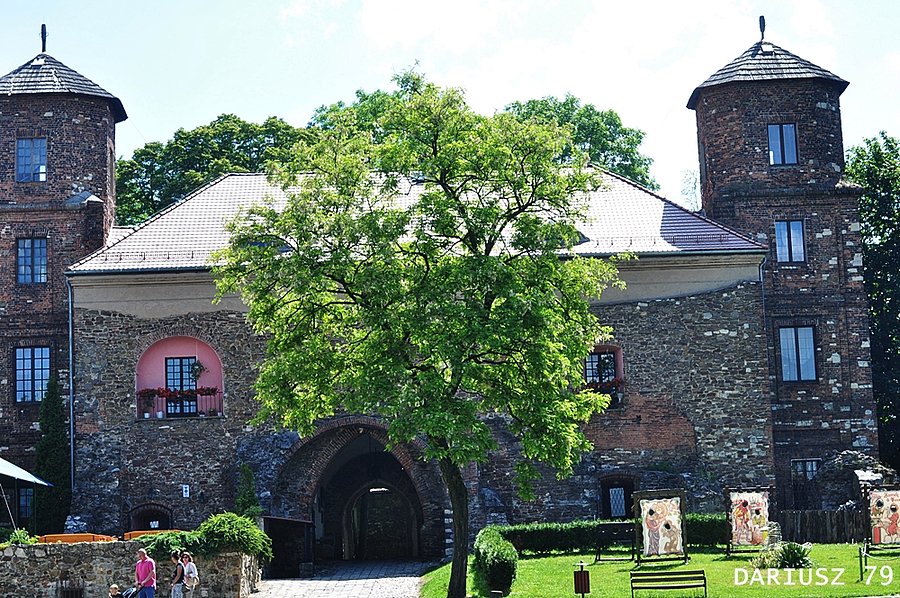 Zamek w Toszku
