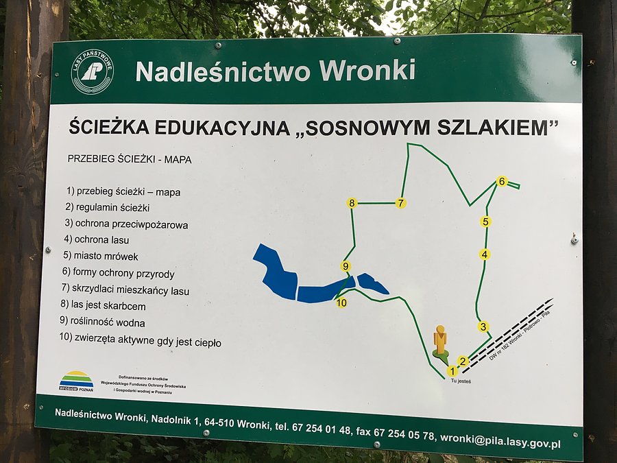 Plan ścieżki