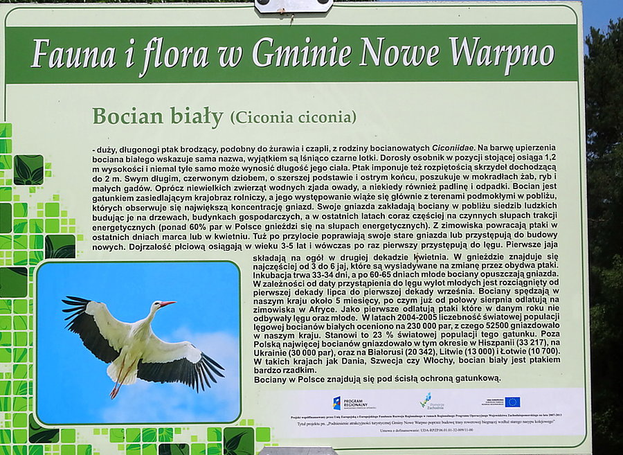 Tablica informacyjna ze ścieżki rowerowej do Rieth. Temat bociany