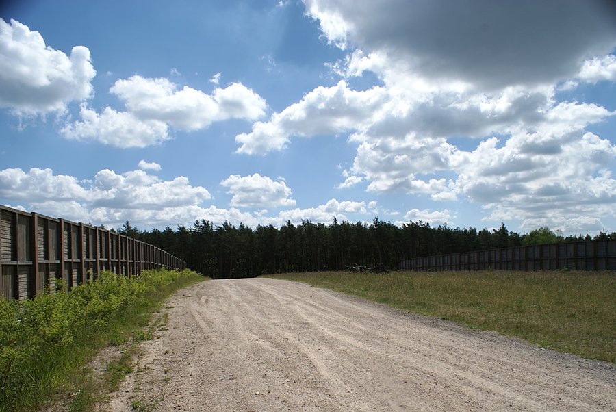 Na przejściu dla dużych zwierząt nad S8