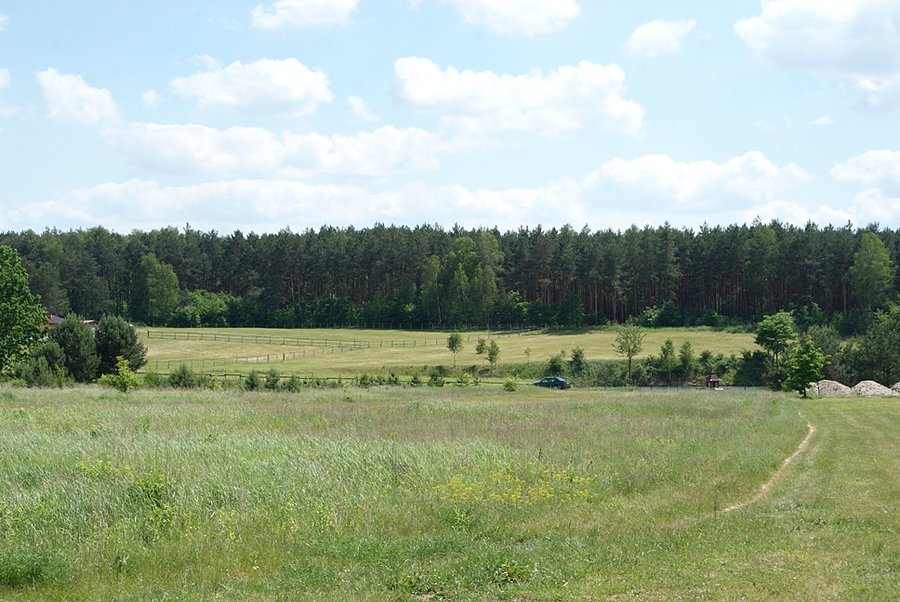 Pagórki przyleśne