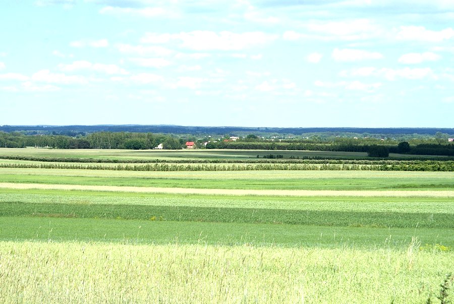 Na wysokości Wygnanowa