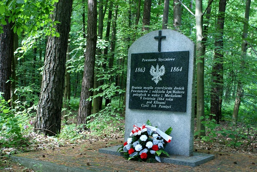 W lesie, koło Sławna