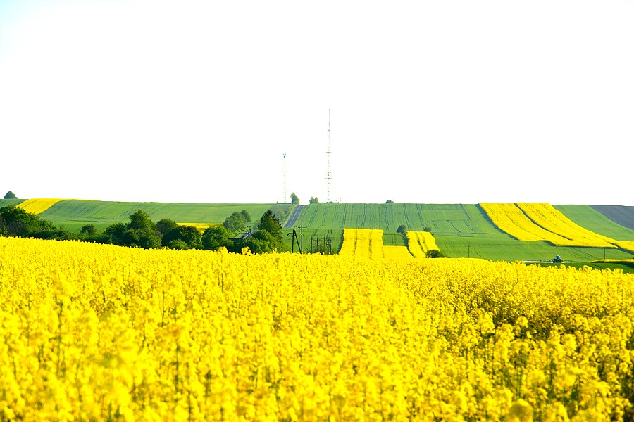 Podlubelskie pagórki