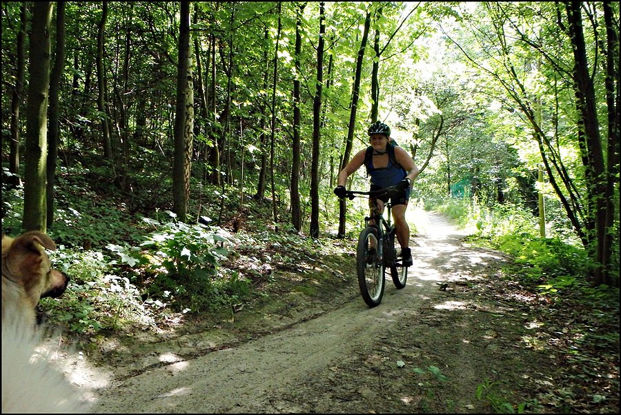 Justynka na Kross Trail Suliwoods