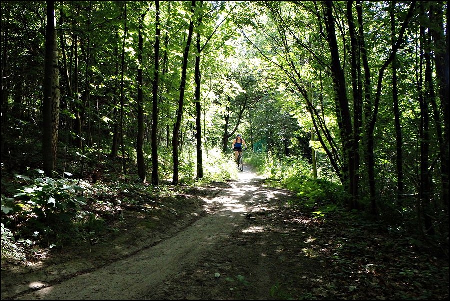Justynka na Kross Trail Suliwoods