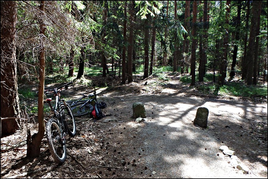 Kross Trail Suliwoods