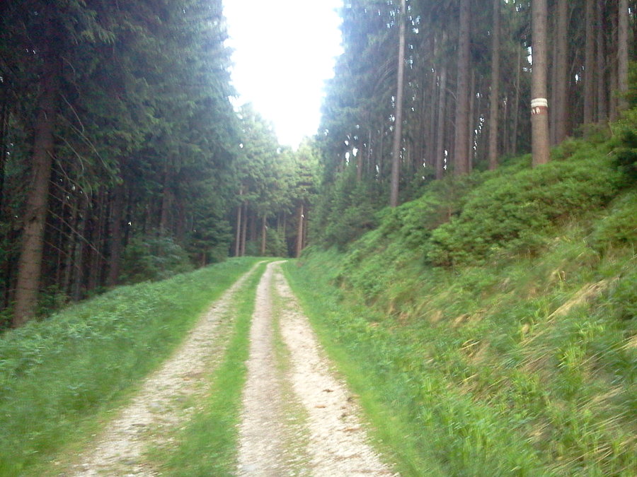 Podjazd