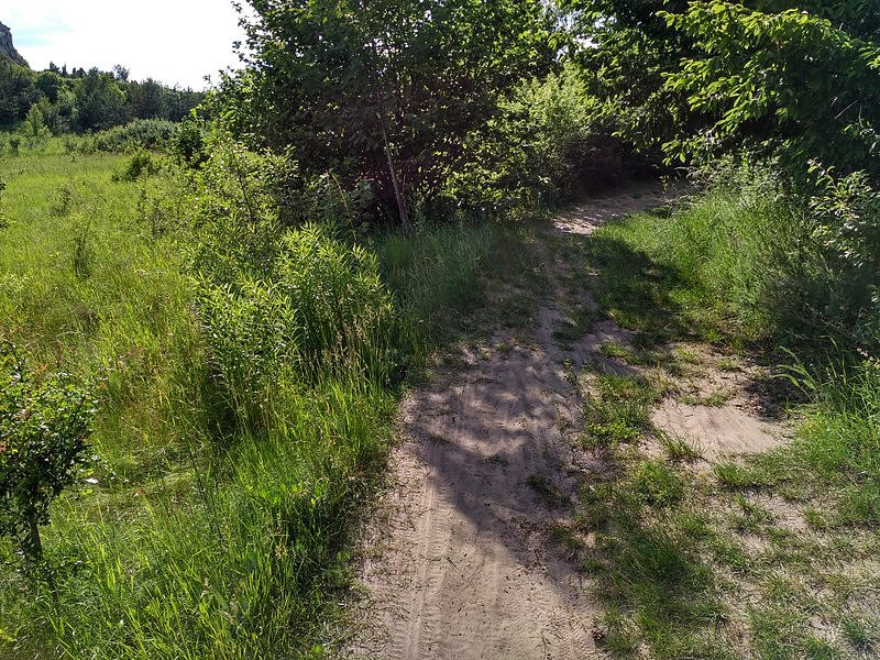 Piachy też się trafiają