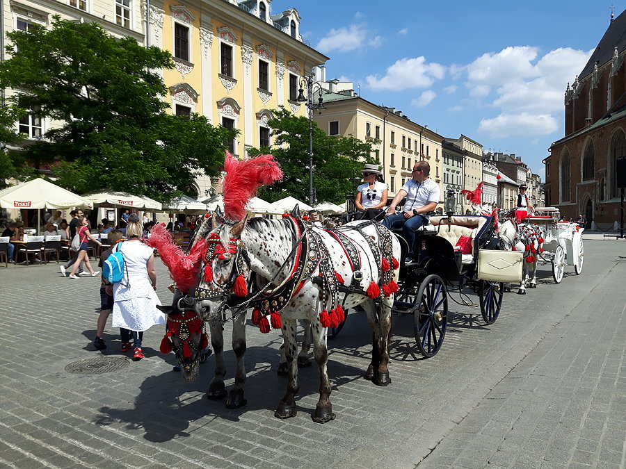 Krakowska dorożka