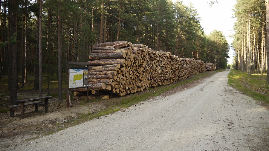 Przy szlaku