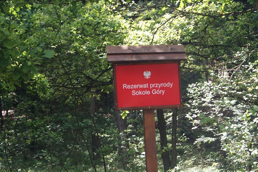 W Rezerwacie Przyrody