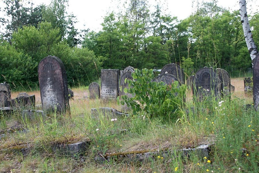 Kirkut - Żarki