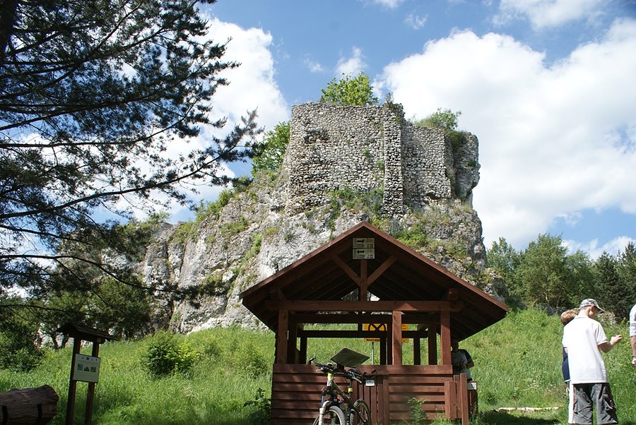 Przed Strażnicą w Przewodziszowicach