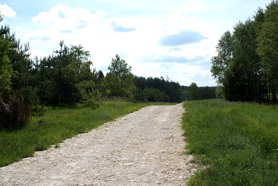 Jakościowo, nieciekawa ta droga, strasznie kamienista