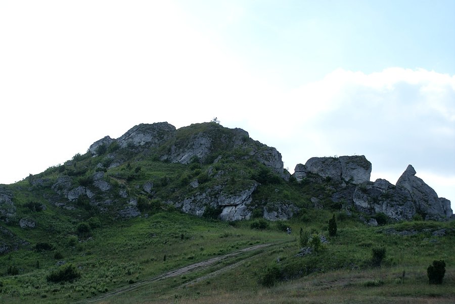 Skałki - Olsztyn