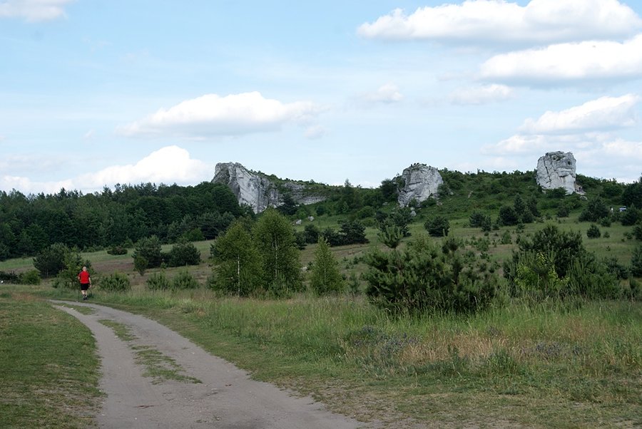 Skałki - Olsztyn