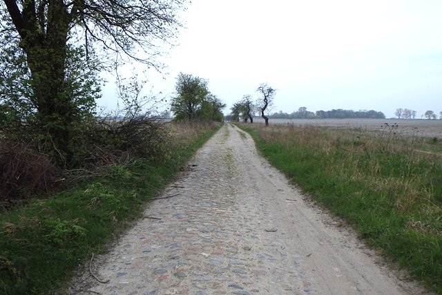 Przydałyby się lepsze opony - brukowaniec w kierunku Łabiszynka
