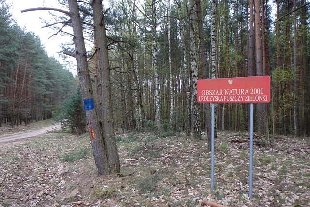 Ponownie na terenie Puszczy Zielonka