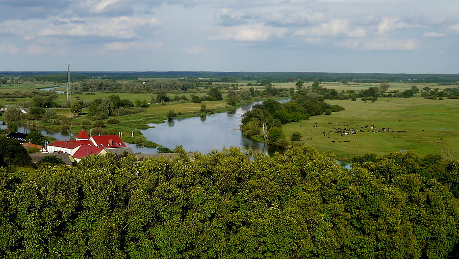 Santok - widok na Wartę