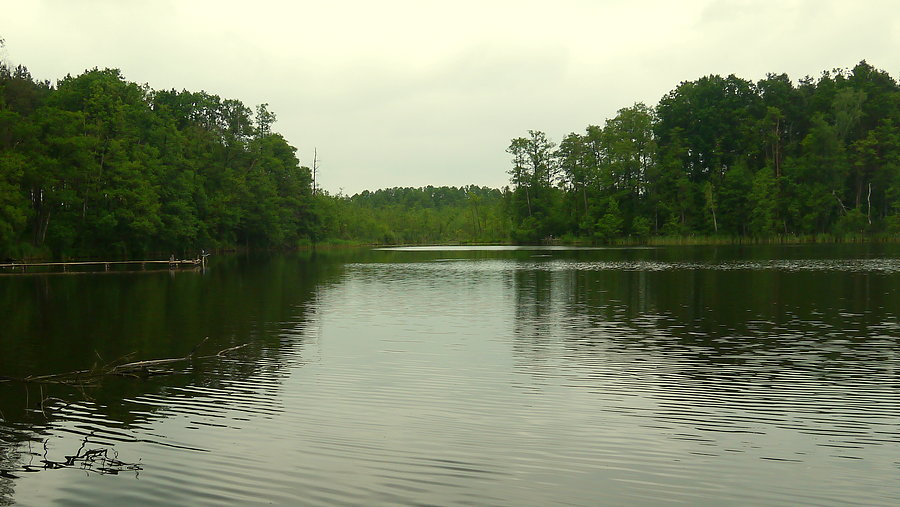 Jezioro Gostomie