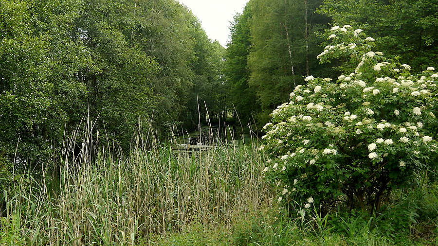 Zielątkowo