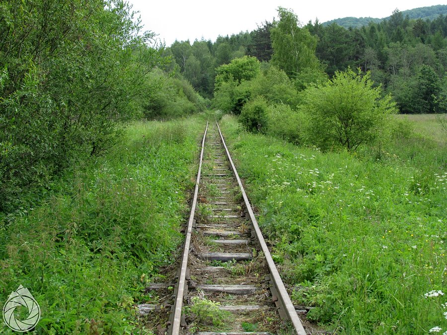 Pociąg w Bieszczady