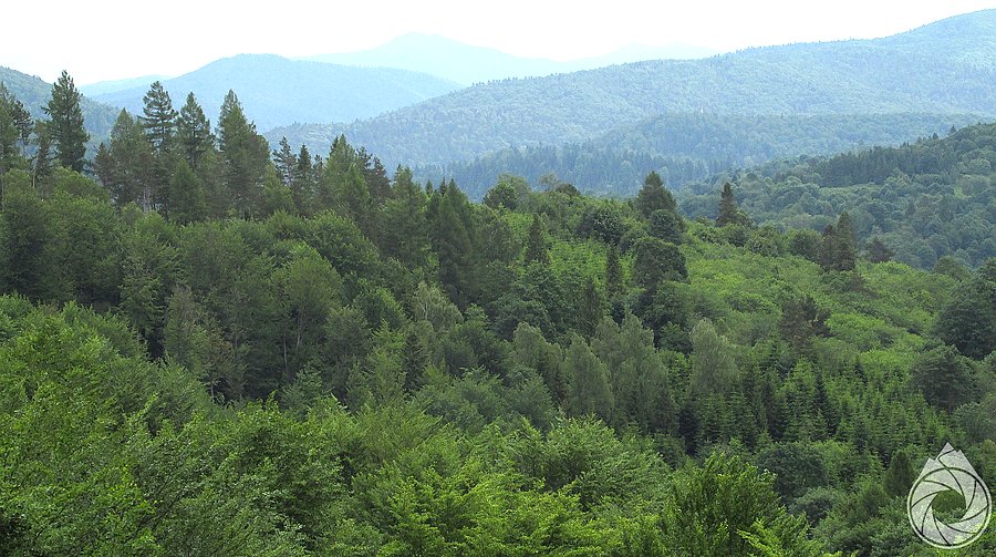 Rzut oka na Wysokie Bieszczady
