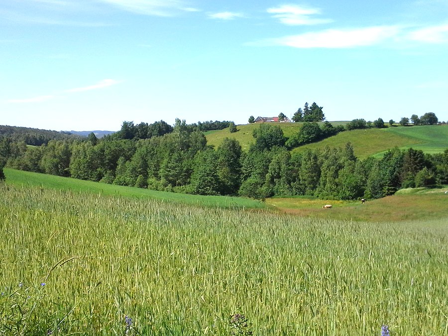 Kaszubskie widoczki