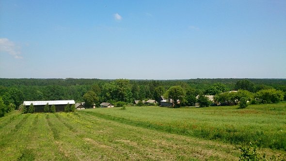 Widok na lasy