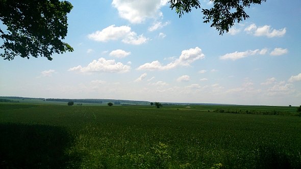 Widok na pola koło Zakrzówka